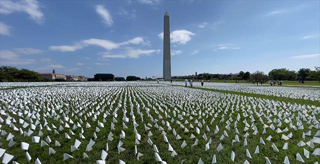 white flags on the National Mall to symbolize the lives lost to COVID-19 in the United States