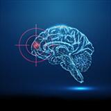 brain