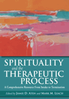 Spirituality and the Therapeutic Process