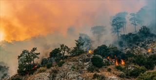 Forest fires caused by climate change